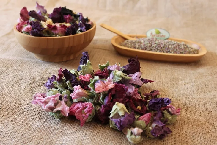 dried marshmallow flower-1